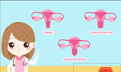 /uploads/200807/1-200PG64R0926.png