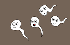 /uploads/200810/1-200Q013595C61.jpg